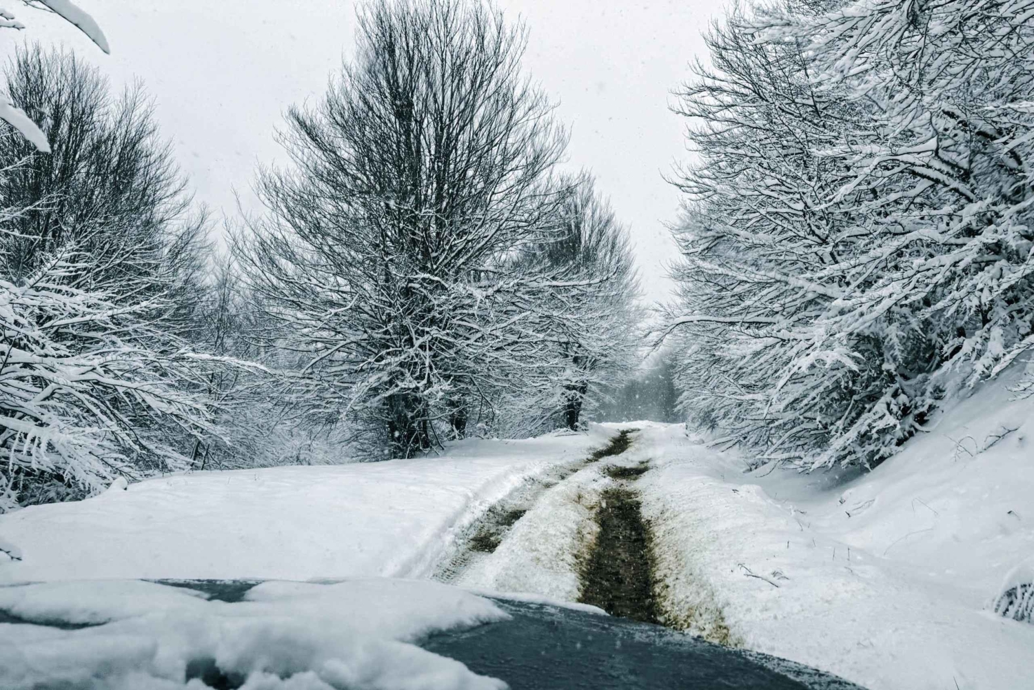 Off-Road Adventure with Lunch: Shengjergj Biza Lake, Elbasan