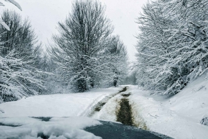Off-Road Adventure with Lunch: Shengjergj Biza Lake, Elbasan