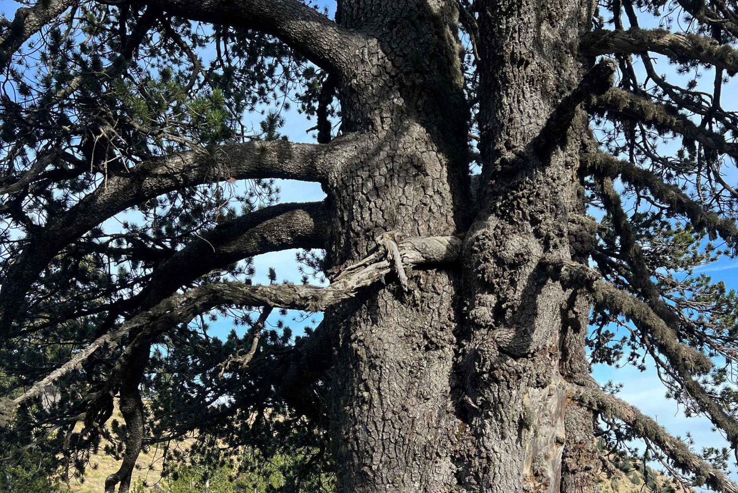 Off-road- ja vaellusretki Korçësta Valamaraan