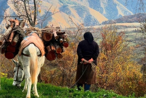 Off-Road & Hiking Adventure from Korçë to Valamara