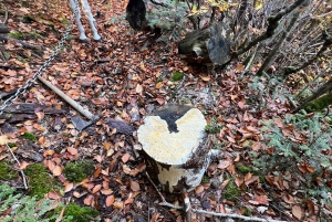 Off-Road & Hiking Adventure from Korçë to Valamara