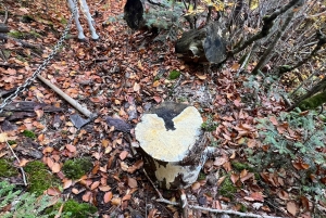 Offroad- en wandelavontuur van Korçë naar Valamara