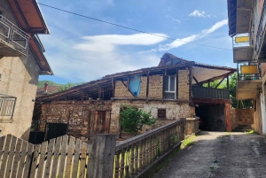 Ohrid & traditionell by: Privat tur från Tirana/Durres