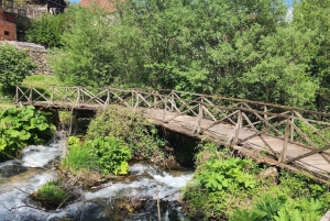 Ohrid & traditionell by: Privat tur från Tirana/Durres