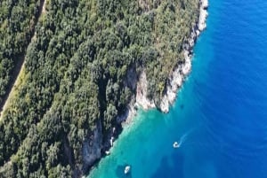 Excursion en bateau pélagique 7 destinations : boisson + plongée avec tuba + parasol.