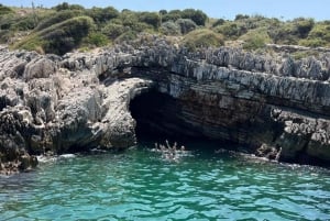 Excursion en bateau pélagique 7 destinations : boisson + plongée avec tuba + parasol.