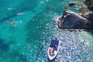 Excursion en bateau pélagique 7 destinations : boisson + plongée avec tuba + parasol.