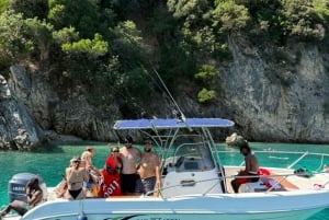 Excursion en bateau pélagique 7 destinations : boisson + plongée avec tuba + parasol.