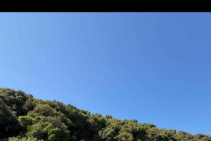 Passeio de barco pelágico 7 destinos: bebida + snorkel + guarda-sol️‍