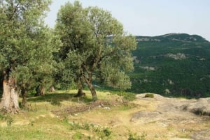 Fra Tirana/Durres/Golem: Pellumbas-grotten og ziplining
