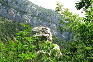 Från Tirana/Durres/Golem: Pellumbas grotta & ziplining