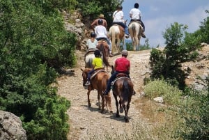 Përmet: Amazing Horse Riding Experience at Vjosa NP