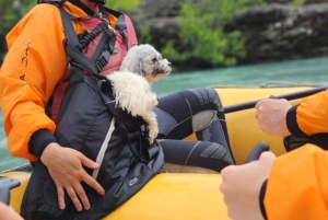 Përmet: Familie-rafting på Vjosa-elven med bilder
