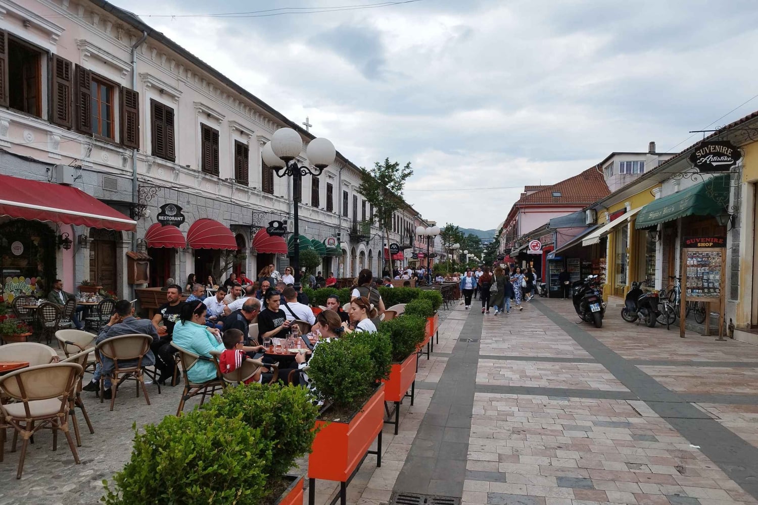 Podgorica: Besøk i Albania, Skadarsjøen og Rozafa slott