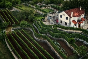Podgorica - Weinverkostung am Skadar-See