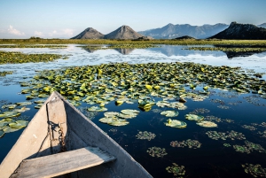 Podgorica: Skadar Lake and Wine Tour
