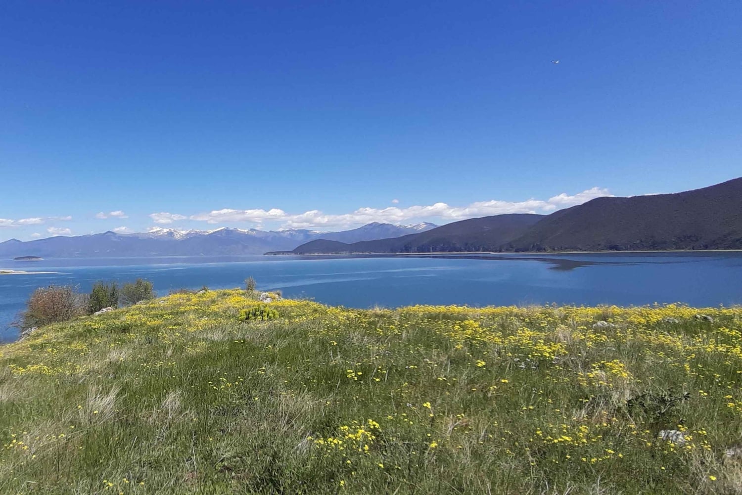 Lago di Prespa: esperienza in barca a Pustec e all'isola di Maligrad