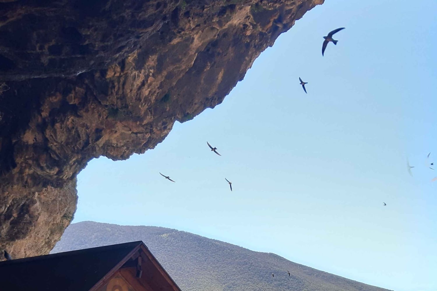 Lago di Prespa: esperienza in barca a Pustec e all'isola di Maligrad