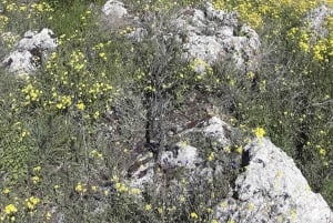 Lago di Prespa: esperienza in barca a Pustec e all'isola di Maligrad