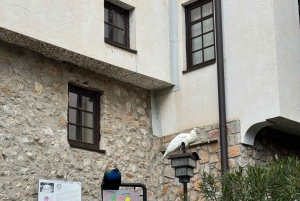 Visite d'une jounée à Ohrid, en Macédoine du Nord, et à Saint-Naum depuis Tirana