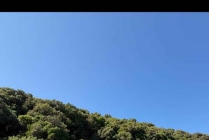 Private Fishing Tour - Pelagic Boat Tours in Saranda