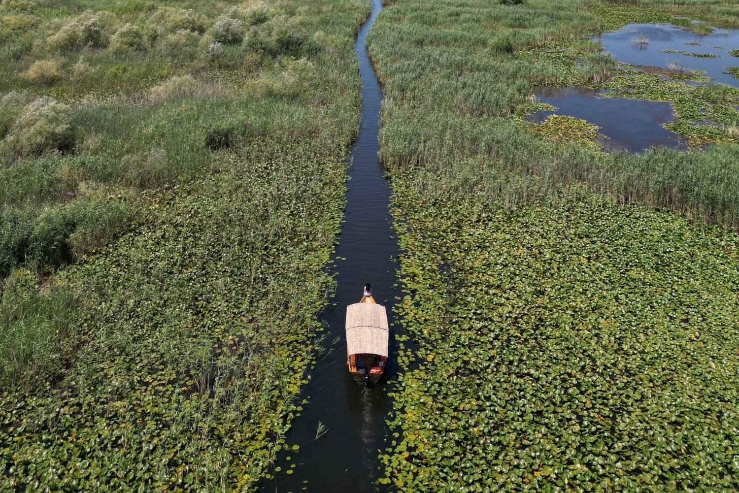Tour privado por el lago Skadar con guía, aperitivos y bebidas.