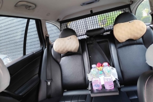 Privado: Aeropuerto de Tirana y ciudad o desde Berat