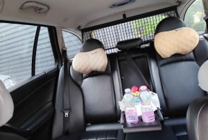 Private: Tirana Airport&City to/from Podgorica (MNE)