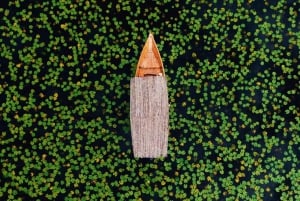 Private Skadar lake tour with guide, snacks and drinks