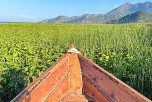 Private Skadar lake tour with guide, snacks and drinks