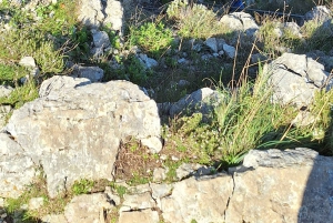 Mönkijäretki: Tirana – Bovillan järvi