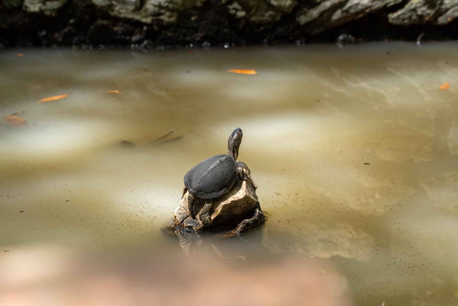 Saranda 1 día: Butrint, Ksamil, Ojo Azul y Castillo de Lekuresi