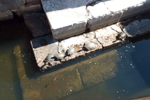 Saranda 1 giorno: Butrinto, Ksamil, Occhio Blu e Castello di Lekuresi