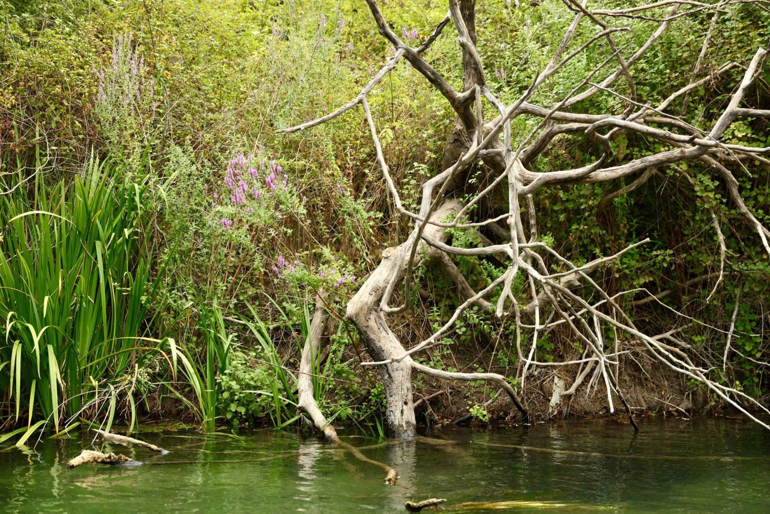 Saranda: Bistrica River Rafting Adventure with Pickup