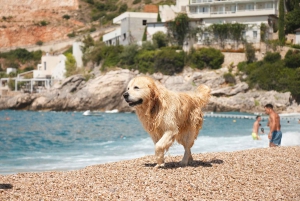 Tirana/Durres/Golem : excursion d'une journée à Saranda, Ksamil, l'Œil Bleu et le château
