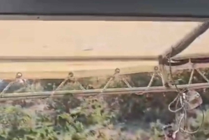 Saranda: Kakome, Kroreza, and Turtle Cave Boat Tour