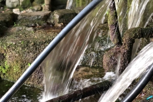 Saranda: tour por el monasterio de Santa María de Kostar