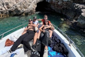 Excursion en bateau pélagique 7 destinations : boisson + plongée avec tuba + parasol.