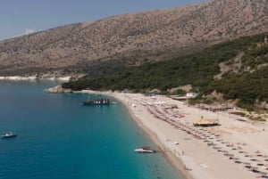 Excursion en bateau pélagique 7 destinations : boisson + plongée avec tuba + parasol.