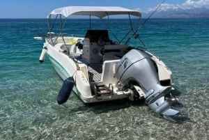 Excursion en bateau pélagique 7 destinations : boisson + plongée avec tuba + parasol.