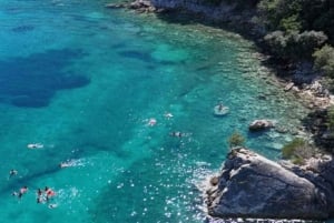 Excursion en bateau pélagique 7 destinations : boisson + plongée avec tuba + parasol.