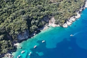 Excursion en bateau pélagique 7 destinations : boisson + plongée avec tuba + parasol.