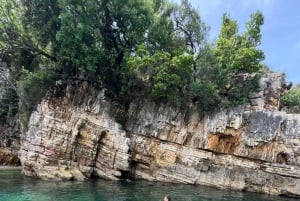 Excursion en bateau pélagique 7 destinations : boisson + plongée avec tuba + parasol.