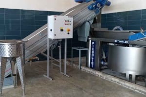 Saranda: Wine and raki tasting, local products.