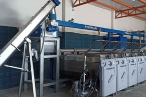 Saranda: Wine and raki tasting, local products.