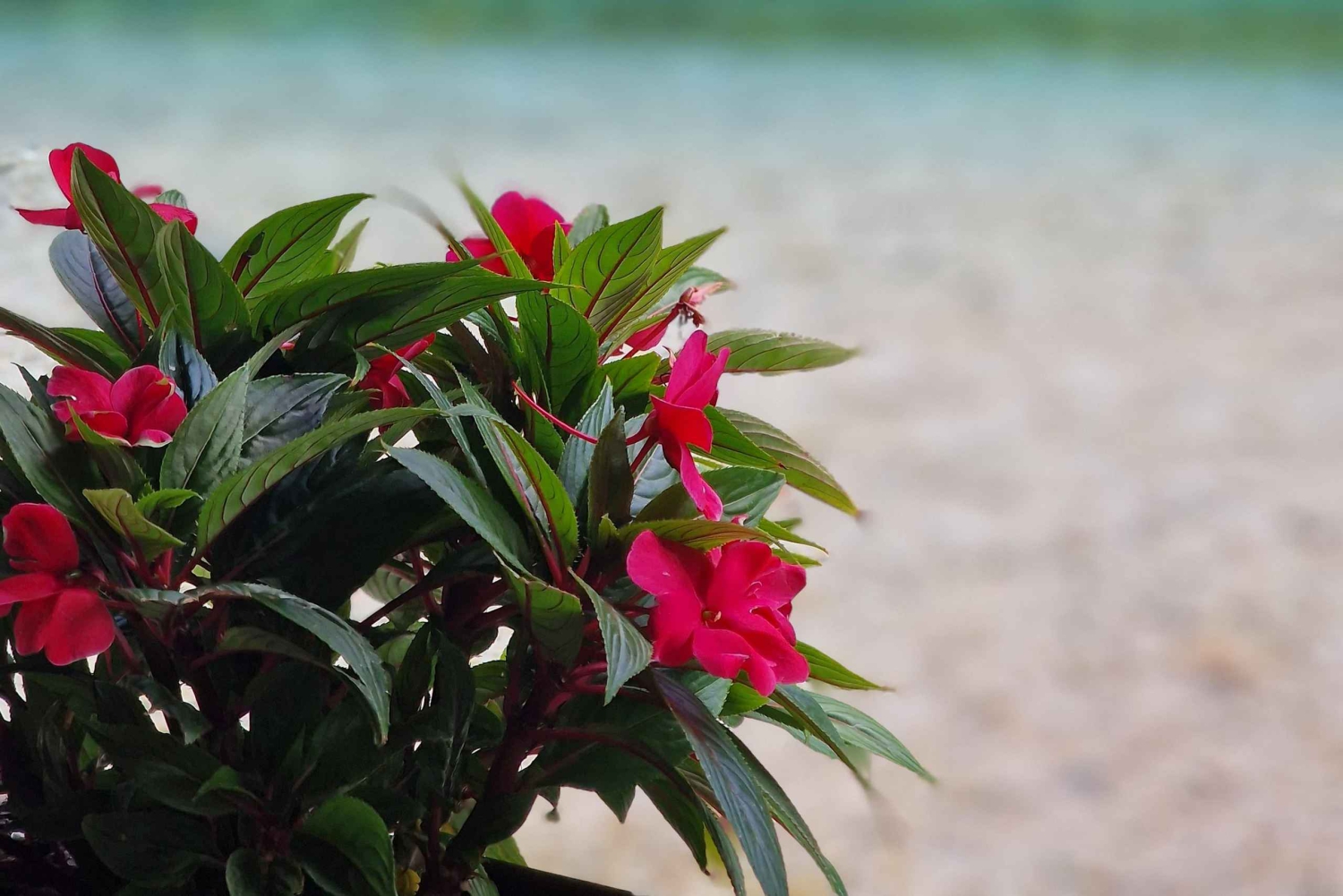 Саранда: Каяк по «Голубому глазу» и пешеходная экскурсия, замок Лекурси