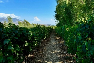 Sarande: Blue Eye with Traditional Food and Wine Tasting