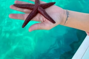 Sarandë: Kystsejlads til Porto Palermo/Himare med solnedgang