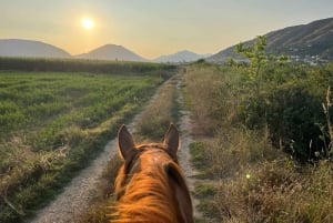 Sarandë : Horseback Ride for Beginners