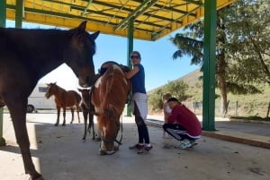 Sarandë : Horseback Ride for Beginners